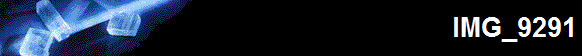 IMG_9291
