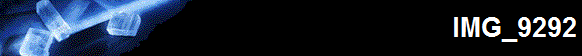 IMG_9292