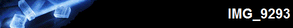 IMG_9293