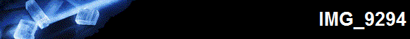 IMG_9294