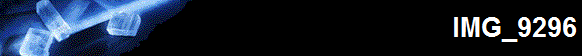 IMG_9296