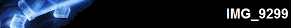 IMG_9299
