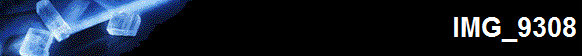 IMG_9308