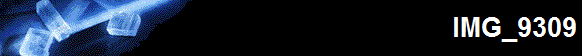 IMG_9309