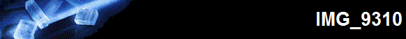 IMG_9310