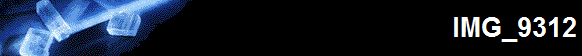 IMG_9312
