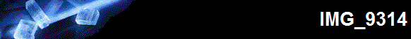 IMG_9314