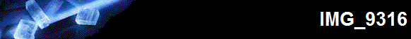 IMG_9316