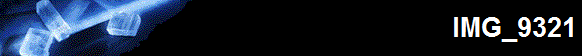 IMG_9321