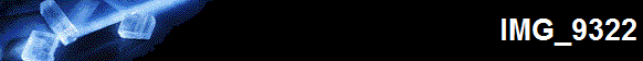 IMG_9322