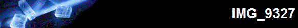 IMG_9327