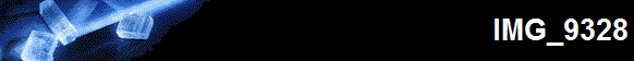 IMG_9328