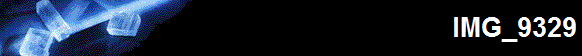 IMG_9329