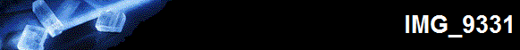 IMG_9331