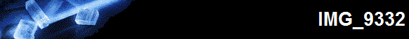IMG_9332