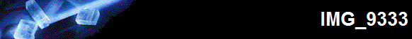 IMG_9333