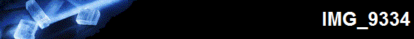 IMG_9334