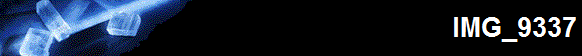 IMG_9337