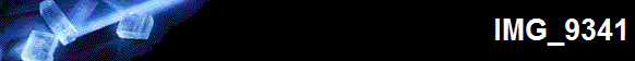 IMG_9341