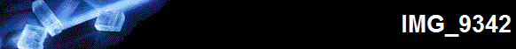 IMG_9342