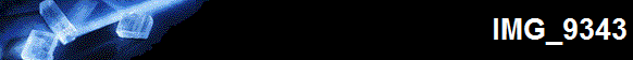 IMG_9343