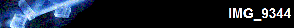 IMG_9344