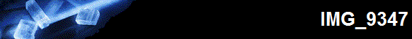 IMG_9347
