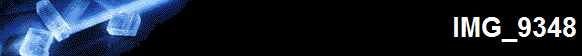 IMG_9348
