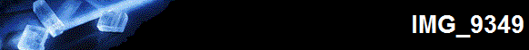 IMG_9349