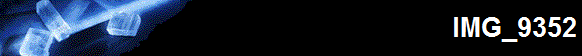 IMG_9352