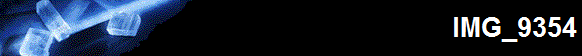 IMG_9354