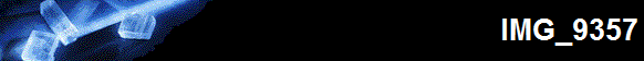IMG_9357