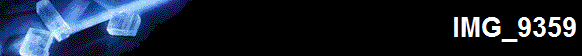 IMG_9359