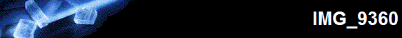 IMG_9360