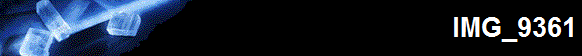 IMG_9361